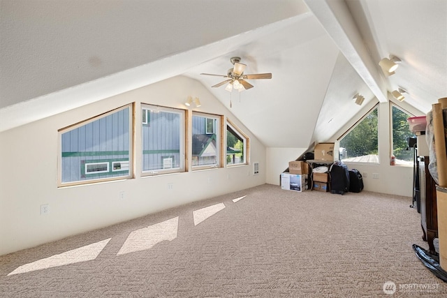 31116 363rd Ave NE, Arlington, WA 98223 - photo 30