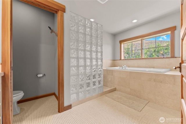 67 Goudy Grade Rd, Winthrop, WA 98862 - full bath featuring a bath, toilet, and recessed lighting