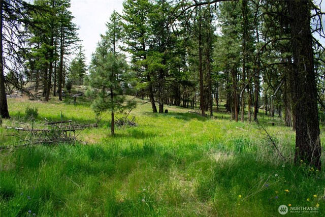 93 Blue Creek Rd, Riverside, WA 98849