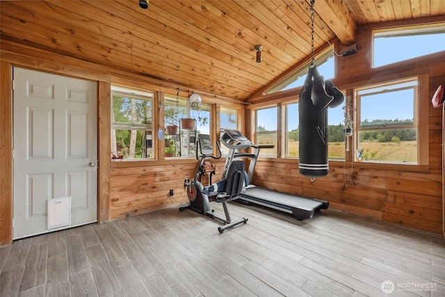 236 Newaukum Valley Rd, Chehalis, WA 98532 - workout room with wooden ceiling, wooden walls, vaulted ceiling, and wood finished floors