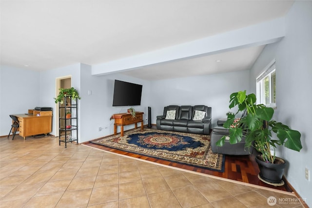 236 Newaukum Valley Rd, Chehalis, WA 98532 - view of tiled living area