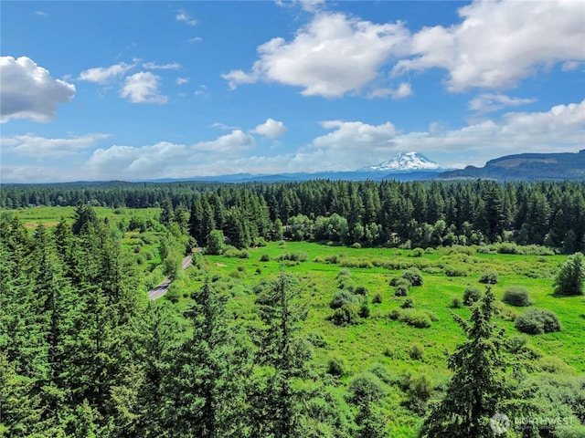 17642 Vine Ln SE, Yelm, WA 98597 - view of mountain background featuring a heavily wooded area