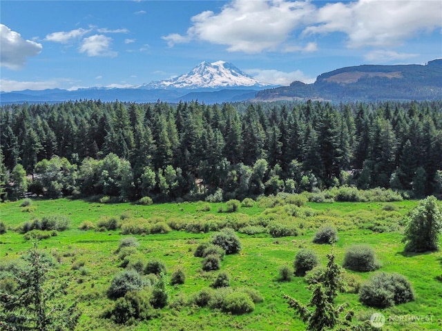 17642 Vine Ln SE, Yelm, WA 98597 - view of mountain backdrop featuring a heavily wooded area