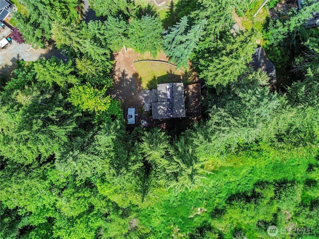 17642 Vine Ln SE, Yelm, WA 98597 - aerial view of property and surrounding area