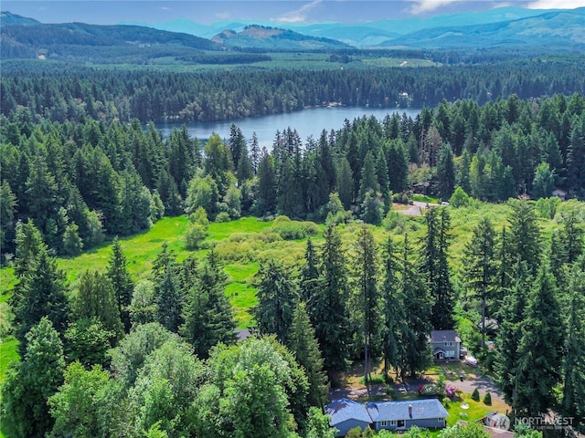17642 Vine Ln SE, Yelm, WA 98597 - aerial view of a forest and a water and mountain view