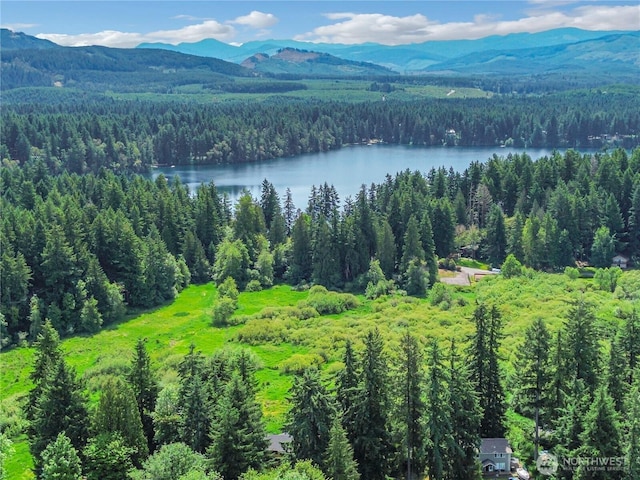 17642 Vine Ln SE, Yelm, WA 98597 - drone / aerial view of a heavily wooded area and a water and mountain view