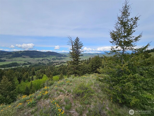 34 Buckhorn Rd, Oroville, WA 98844 - photo 8