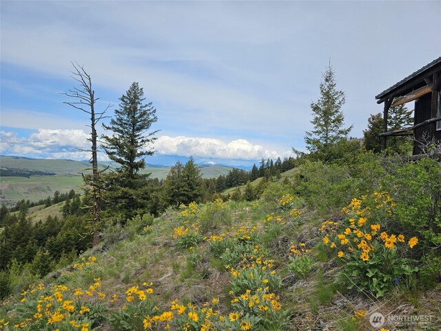 34 Buckhorn Rd, Oroville, WA 98844 - photo 2