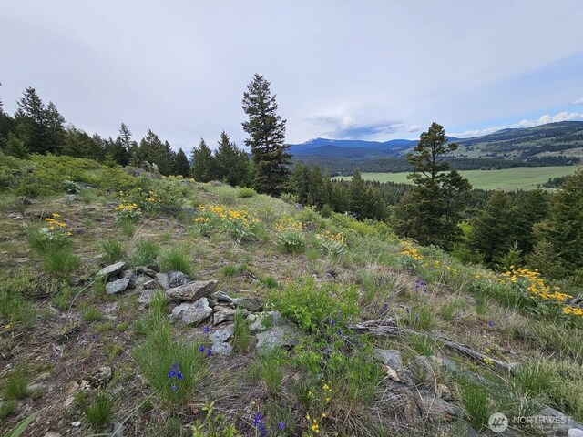 34 Buckhorn Rd, Oroville, WA 98844 - photo 9