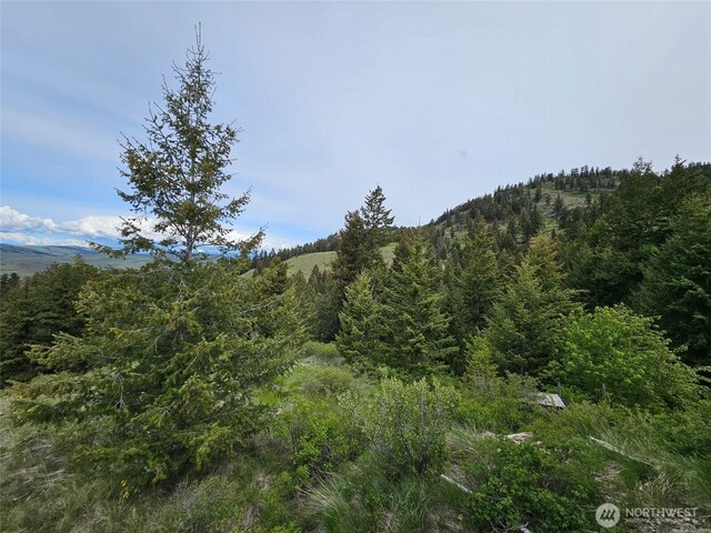 34 Buckhorn Rd, Oroville, WA 98844 - photo 10