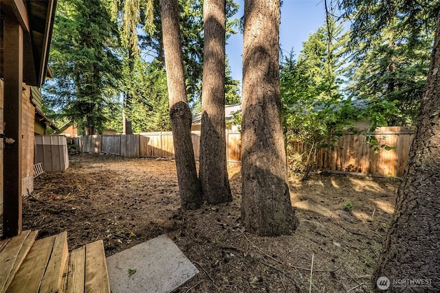 17924 E Clear Lake Blvd SE, Yelm, WA 98597 - view of fenced backyard