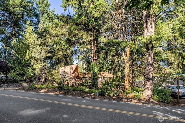 17924 E Clear Lake Blvd SE, Yelm, WA 98597 - view of community sign