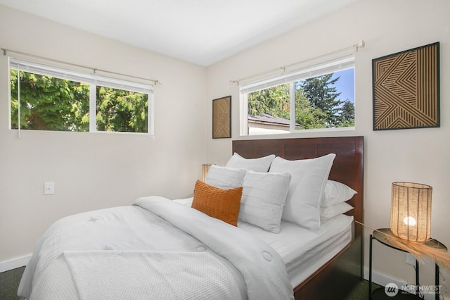 15222 37th Pl S, Tukwila, WA 98188 - bedroom featuring multiple windows