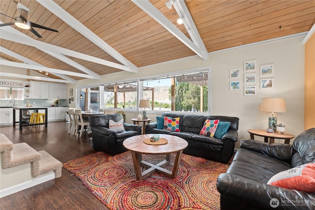 255 Lake Front Rd, Orondo, WA 98843 - living room with wood ceiling, dark wood finished floors, ceiling fan, and rail lighting