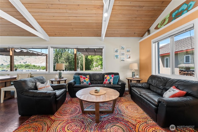 255 Lake Front Rd, Orondo, WA 98843 - living area with dark wood-style floors, plenty of natural light, and wood ceiling