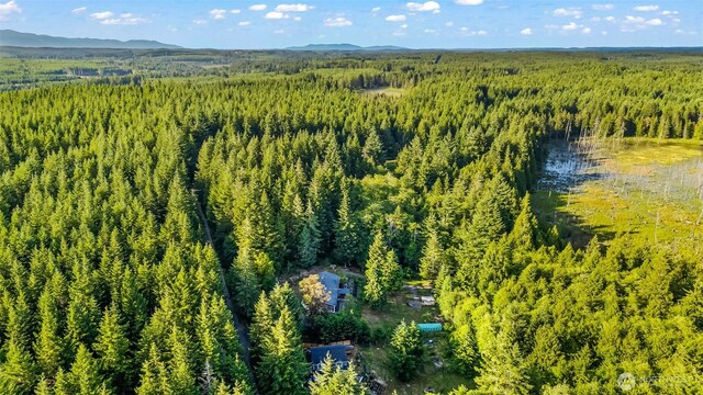 600 E Probert Rd, Shelton, WA 98584 - photo 35