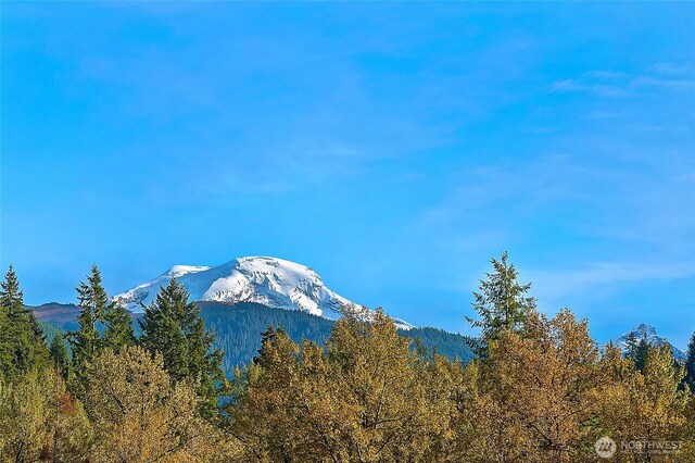 14030 Shuksan Rim Dr, Glacier, WA 98244 - view of mountain background with a heavily wooded area