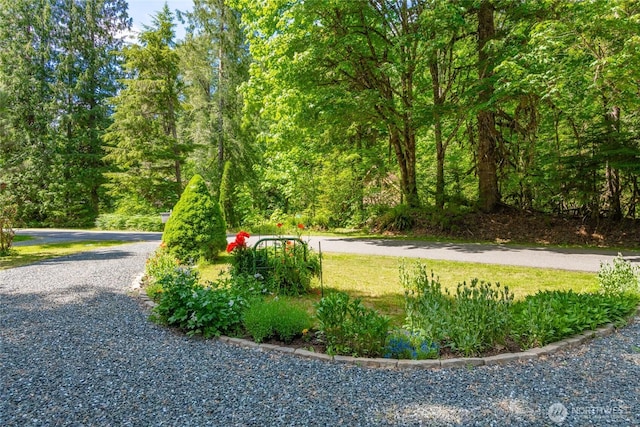14030 Shuksan Rim Dr, Glacier, WA 98244 - surrounding community featuring a view of trees