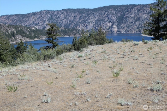39395 Bluff Overlook Pt N, Lincoln, WA 99147 - photo 2