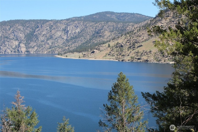 39395 Bluff Overlook Pt N, Lincoln, WA 99147 - photo 3