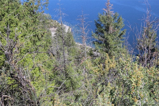 39395 Bluff Overlook Pt N, Lincoln, WA 99147 - photo 4