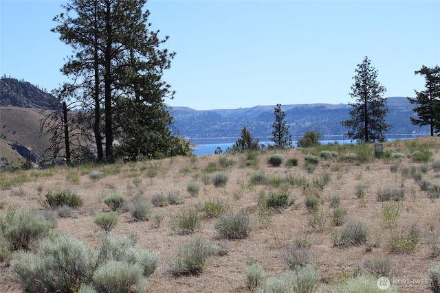 39395 Bluff Overlook Pt N, Lincoln, WA 99147 - photo 6