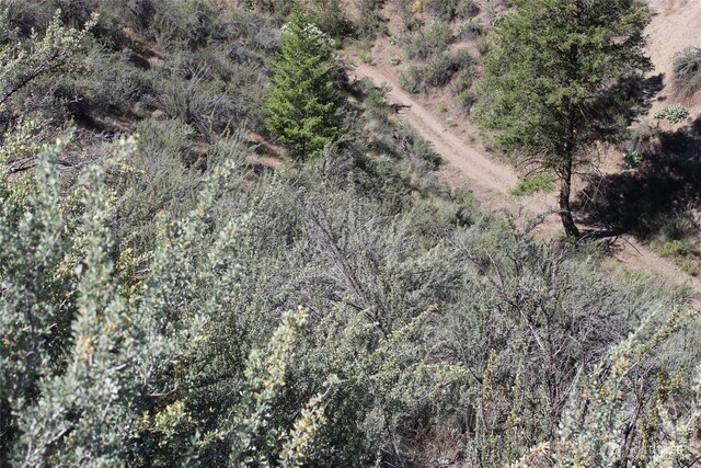 39395 Bluff Overlook Pt N, Lincoln, WA 99147 - photo 8
