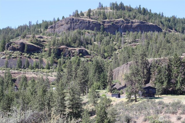 39395 Bluff Overlook Pt N, Lincoln, WA 99147 - photo 10