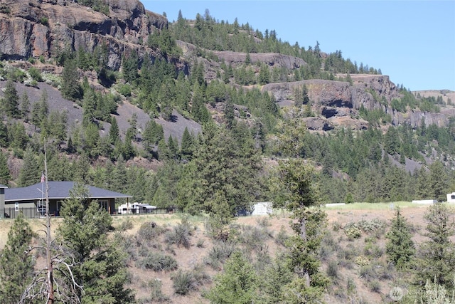 39395 Bluff Overlook Pt N, Lincoln, WA 99147 - photo 11