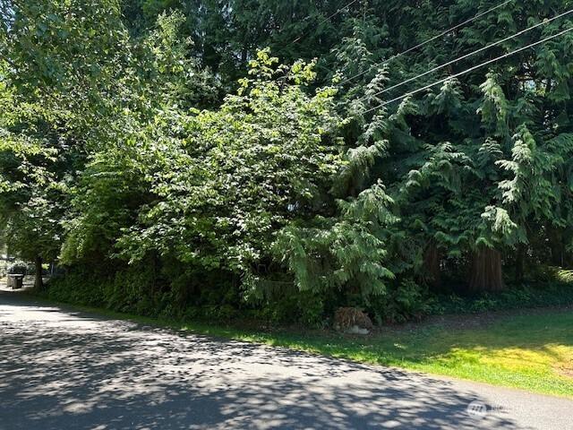 13705 W Lake Kathleen Dr SE, Renton, WA 98039 - photo 2