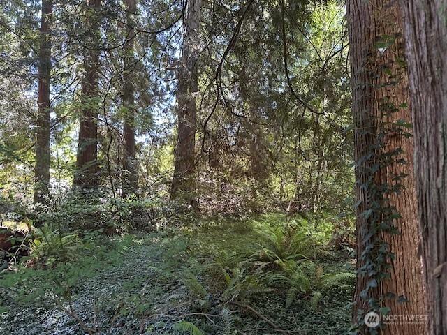 13705 W Lake Kathleen Dr SE, Renton, WA 98039 - photo 3