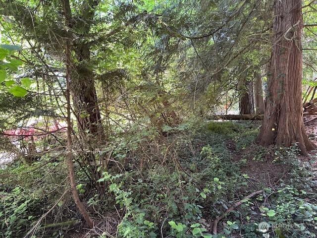 13705 W Lake Kathleen Dr SE, Renton, WA 98039 - photo 5