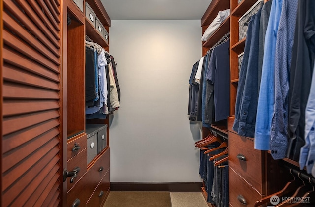 201 Galer St Unit 102, Seattle, WA 98109 - view of spacious closet