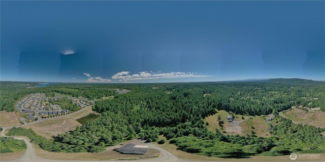 4402 Lone Bear Ln SW, Port Orchard, WA 98367 - photo 39