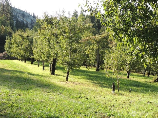 9291 Pakascwa Rd, Peshastin, WA 98847