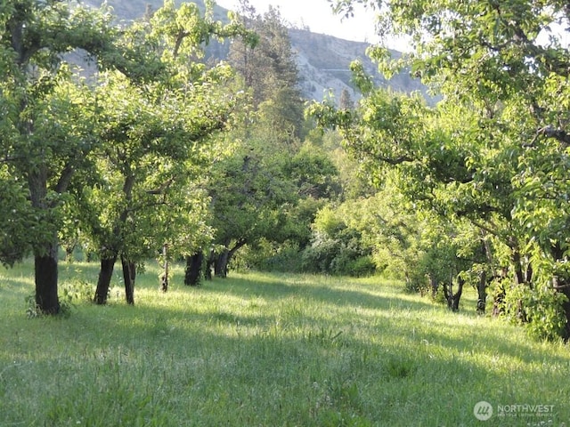 9291 Pakascwa Rd, Peshastin, WA 98847