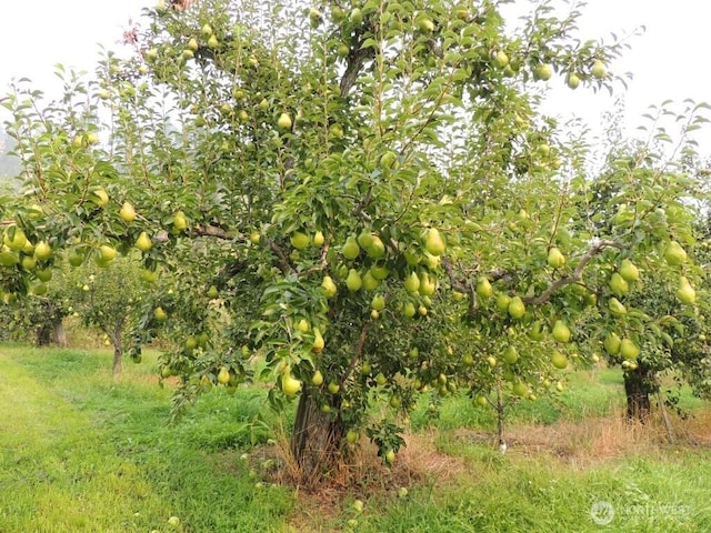 9291 Pakascwa Rd, Peshastin, WA 98847