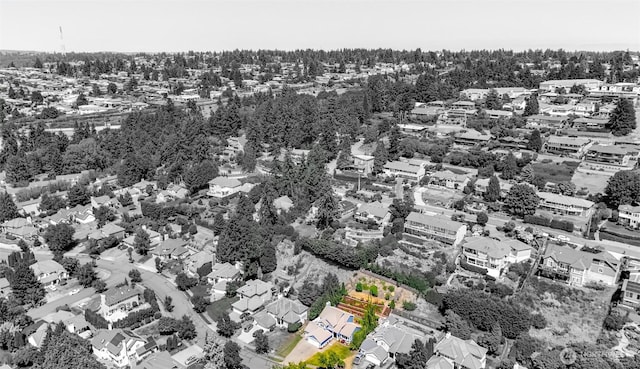 913 N Mountain View Ave, Tacoma, WA 98406 - aerial view of residential area