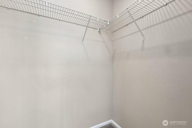 1709 Fern St SW, Olympia, WA 98502 - view of spacious closet