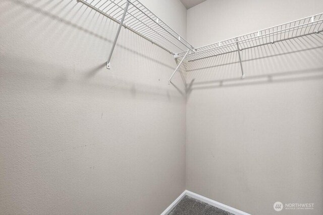 1709 Fern St SW, Olympia, WA 98502 - spacious closet featuring carpet