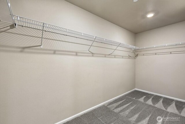 1709 Fern St SW, Olympia, WA 98502 - spacious closet featuring carpet flooring