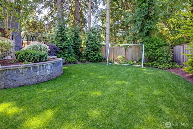 14430 SE 18th St, Bellevue, WA 98007 - view of yard