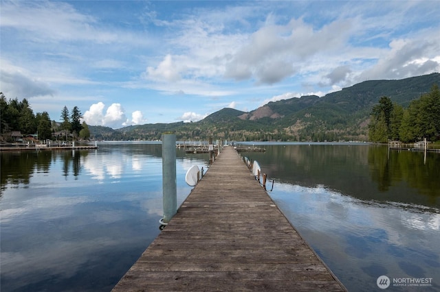 316 W Lake Samish Dr Unit 10, Bellingham, WA 98229 - dock featuring a water and mountain view