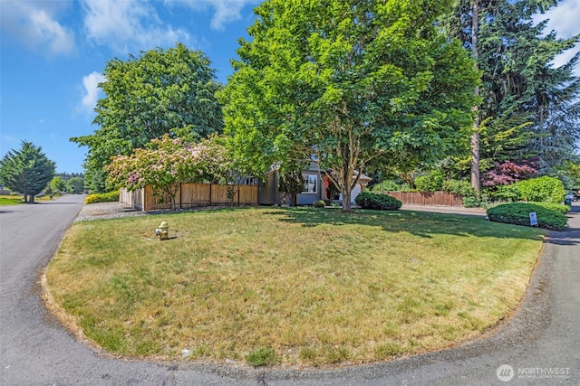 6218 199th Street Ct E, Spanaway, WA 98387 - view of property hidden behind natural elements