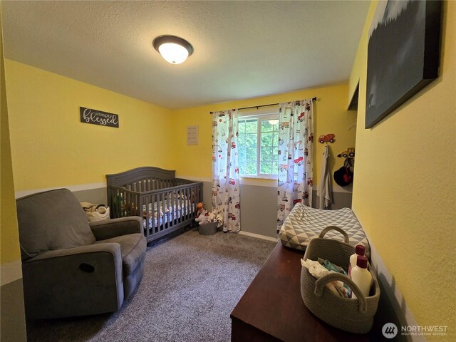 4776 Prairie Ln, Sedro Woolley, WA 98284 - bedroom featuring carpet and a textured ceiling
