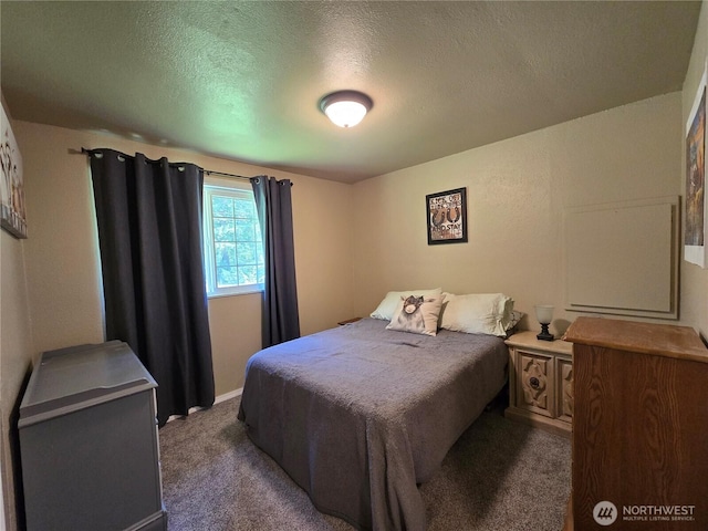 4776 Prairie Ln, Sedro Woolley, WA 98284 - bedroom featuring carpet flooring and a textured ceiling