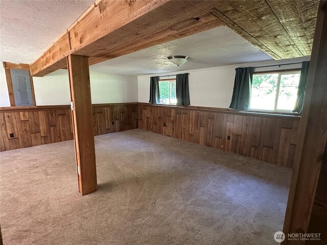 4776 Prairie Ln, Sedro Woolley, WA 98284 - below grade area with electric panel, wainscoting, carpet floors, a textured ceiling, and wood walls