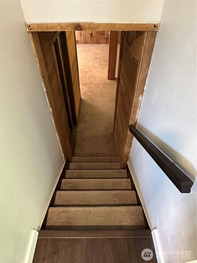4776 Prairie Ln, Sedro Woolley, WA 98284 - stairway featuring carpet flooring