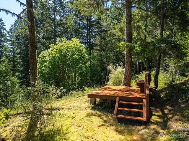 14711 Sky Island Ln, Anacortes, WA 98221 - photo 2
