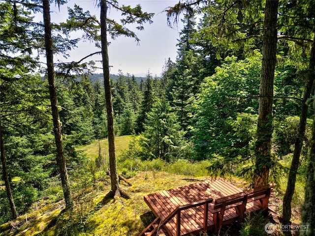 14711 Sky Island Ln, Anacortes, WA 98221 - photo 3